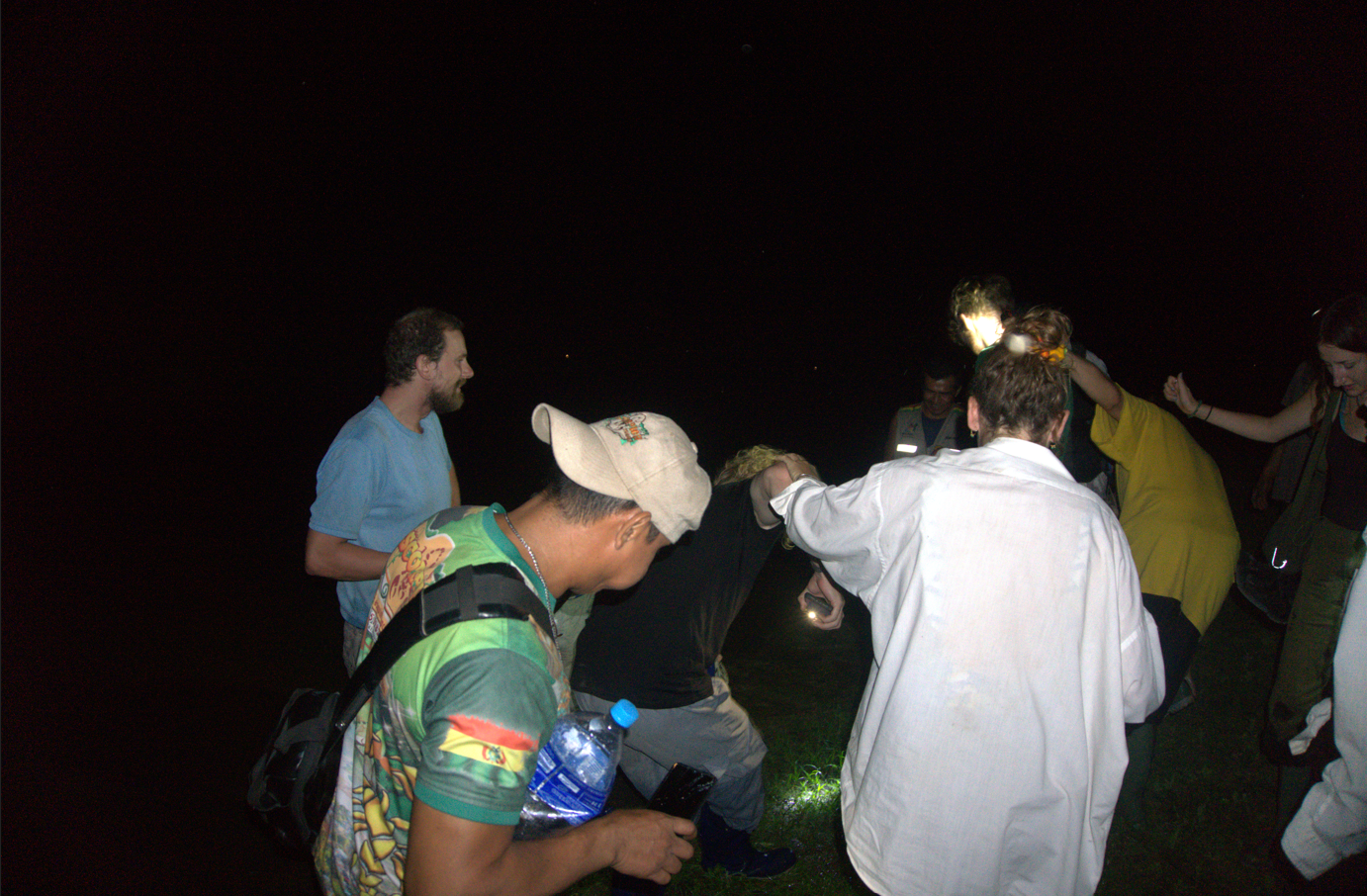 Safari nocturno