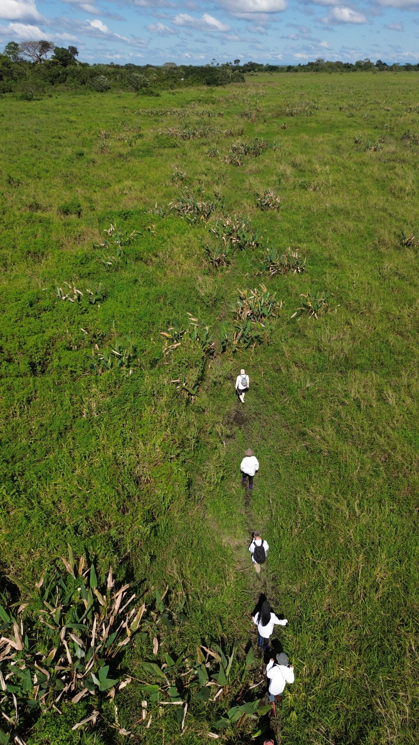 Tours Combinados Selva + Pampas