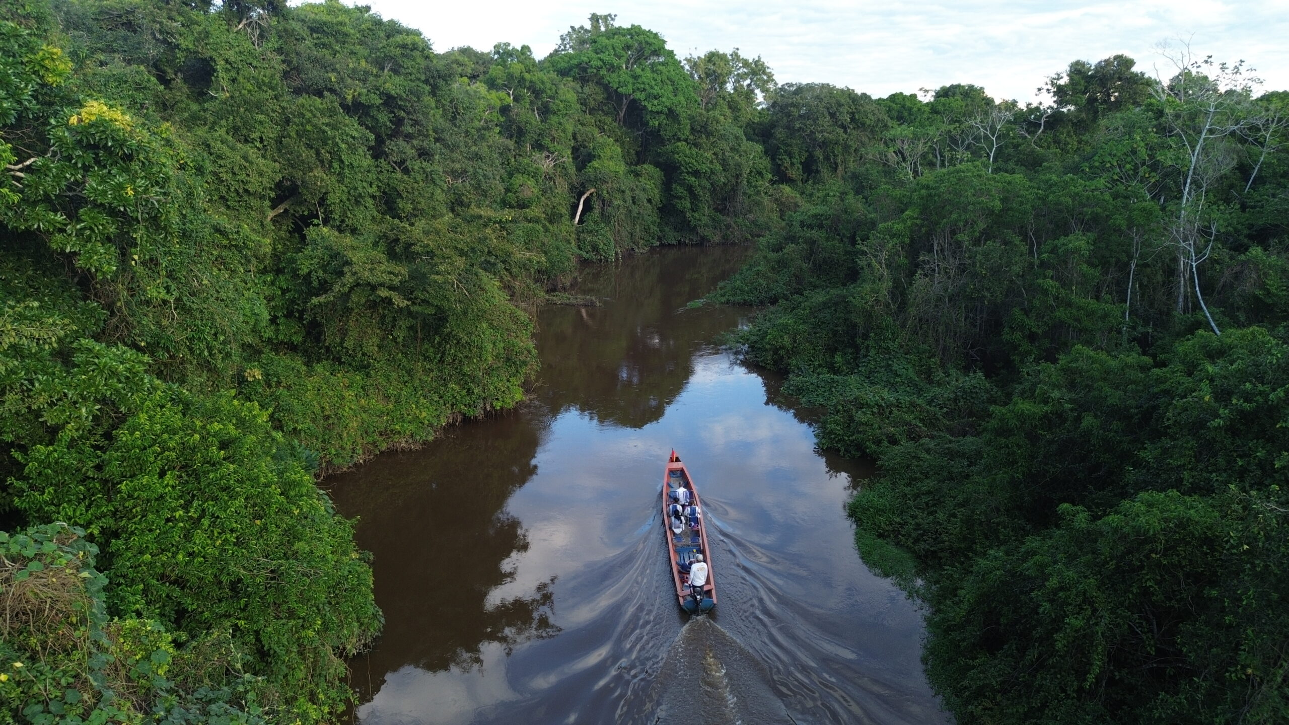 Tours Pampas — Río Yacuma