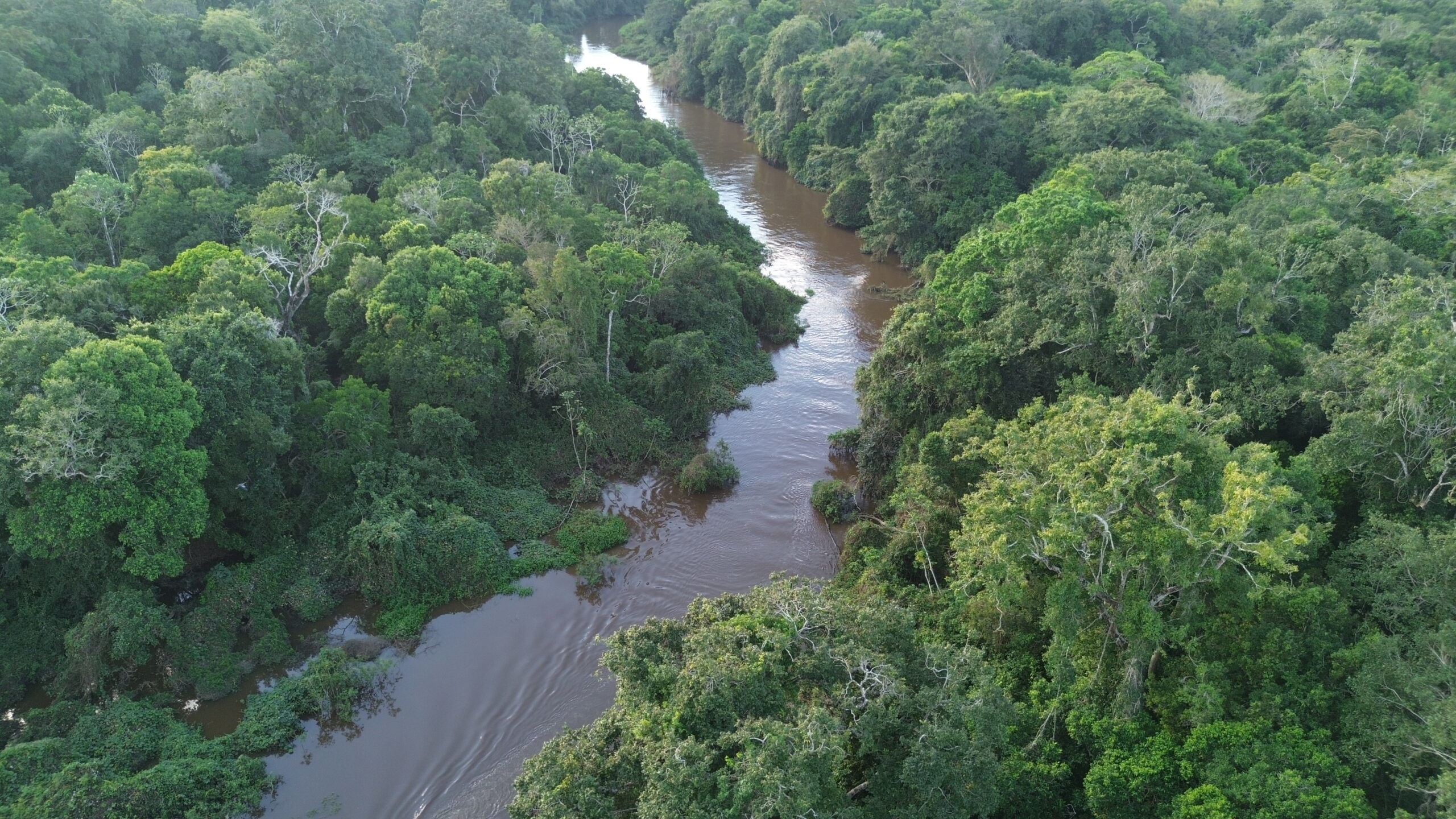 Tours Pampas — Río Yacuma