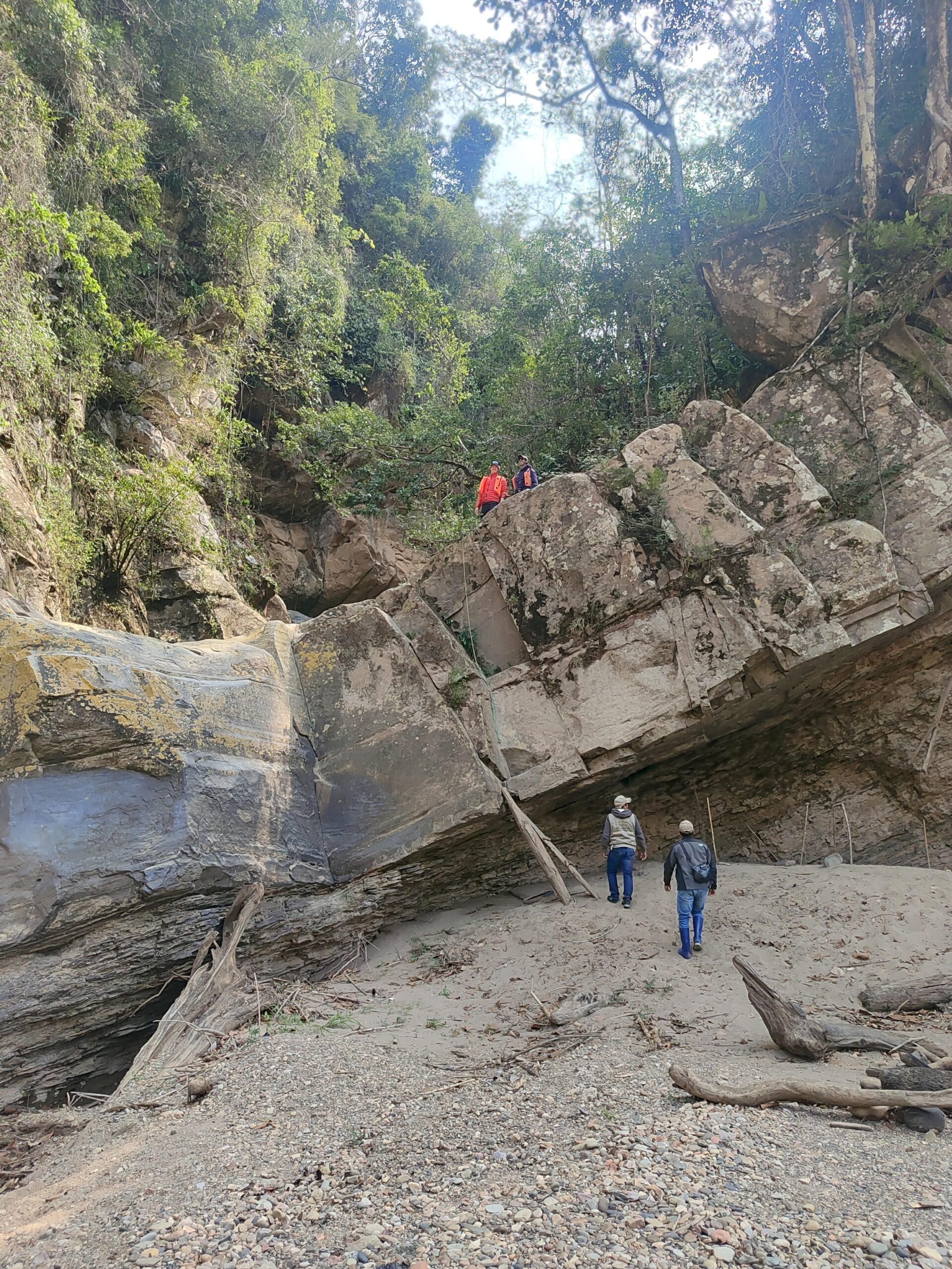 Parque Madidi