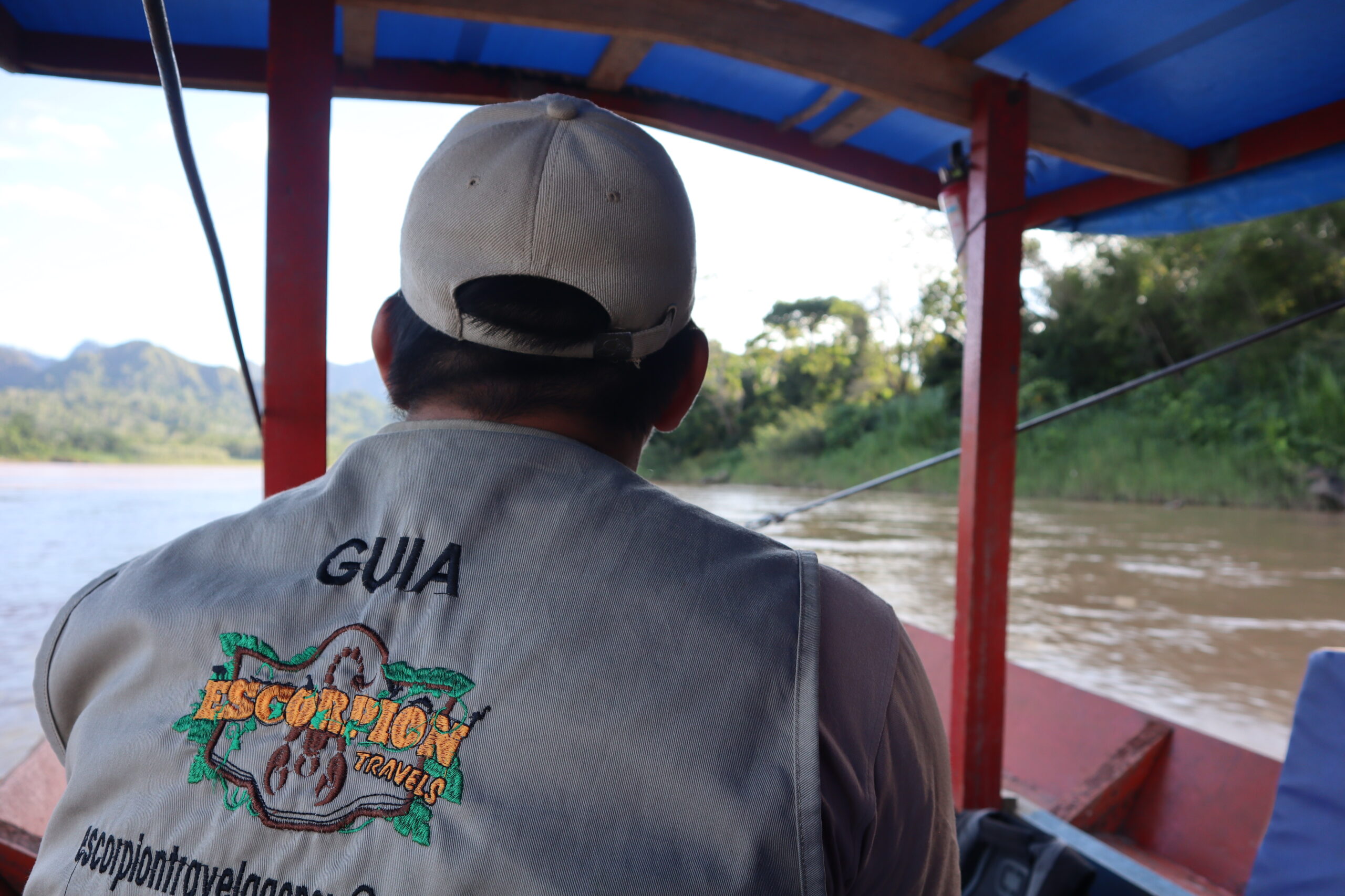 Selva — Parque Madidi