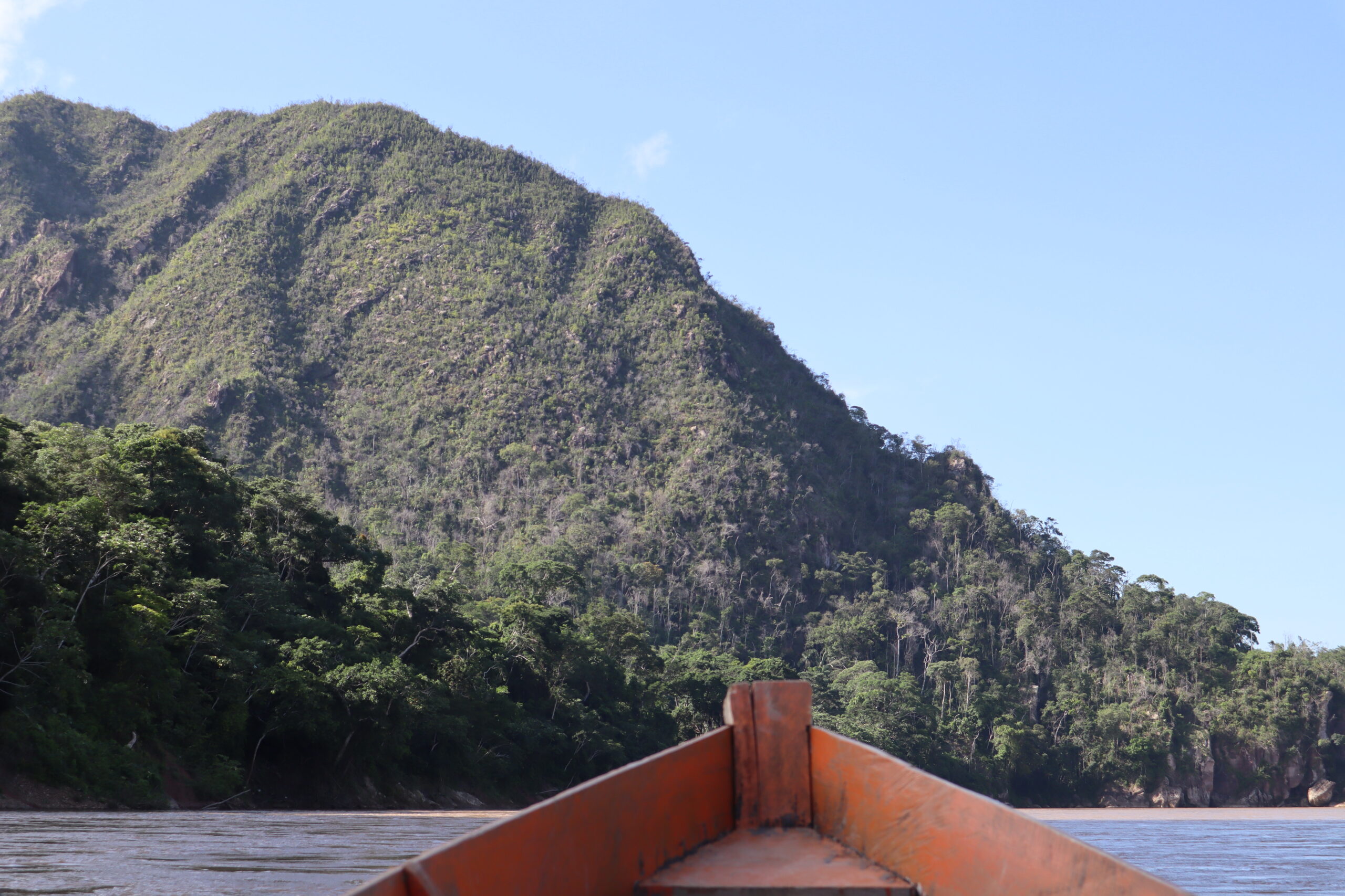Bosque tropical — Madidi