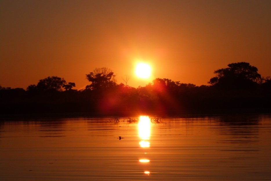 Amanecer Pampas
