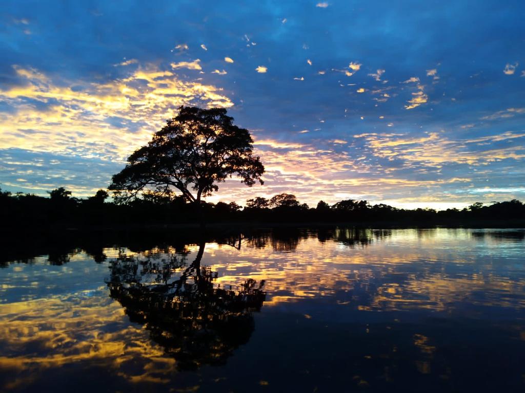 Pampas 4 días — experiencia completa