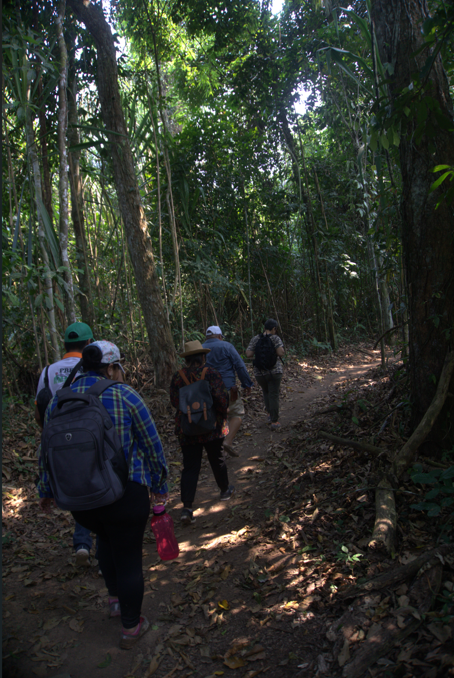 Caminata en la selva