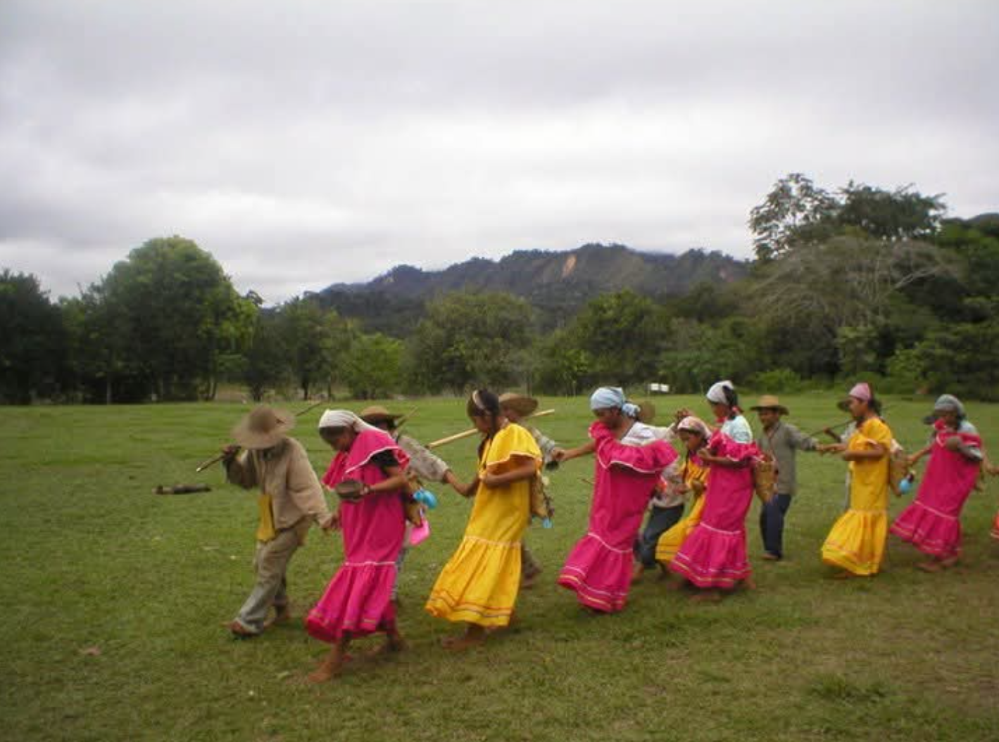 Comunidad y cultura local