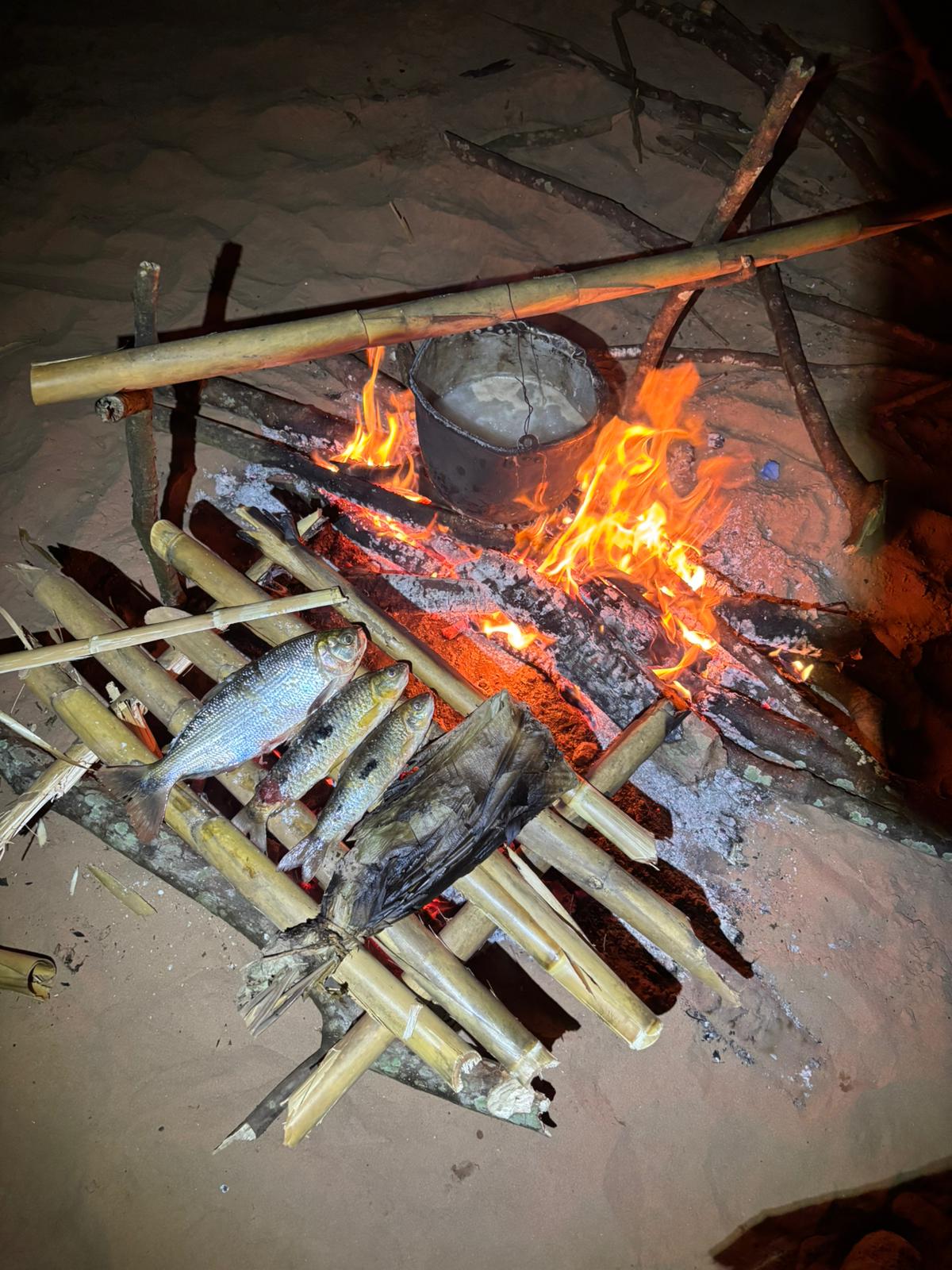 Experiencias — Survivor y Pesca deportiva